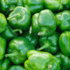 Capsicum