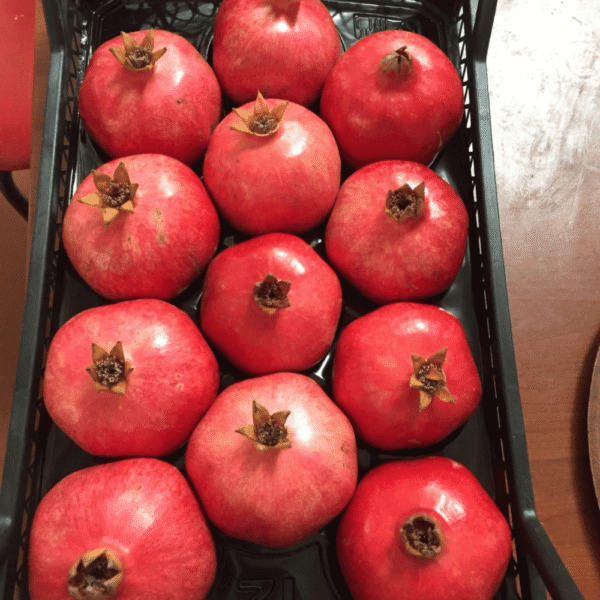 Pomegranate (Anar)