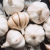 Fresh Garlic