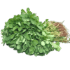 Fresh Methi