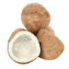 Dry Coconut