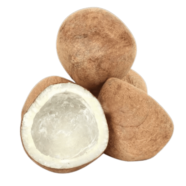 Dry Coconut