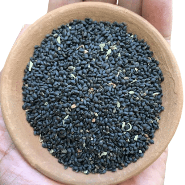 Basil Seeds (100g)